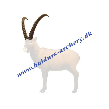 SRT Target 3D Ibex Horns