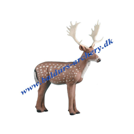 Rinehart Target 3D Fallow Deer