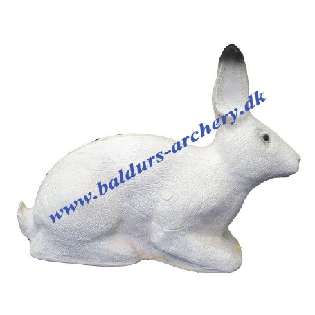 SRT Target 3D Polar rabbit